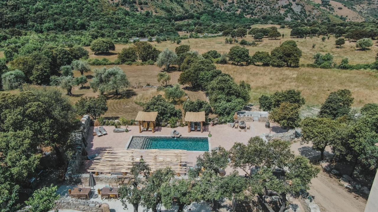 Residence De Luxe 4 Etoiles A Pietralba, 4 Logements Piscine Chauffee Balagne Zewnętrze zdjęcie
